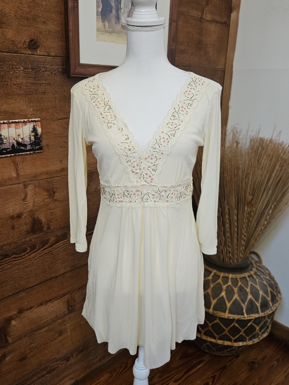 Express Cream Lace-Trim Long Sleeve Sheer Top